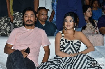 Naa Peru Surya Naa Illu India Pre Release Event Photos